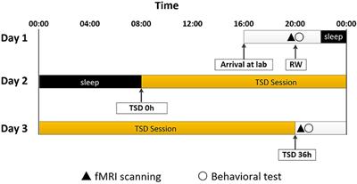Decreased Functional Connectivity in the Reward Network and Its Relationship With Negative Emotional Experience After Total Sleep Deprivation